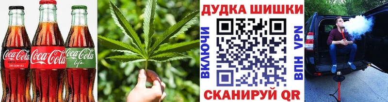 Canna-Cookies конопля Новосокольники