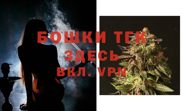 шишки Вязьма