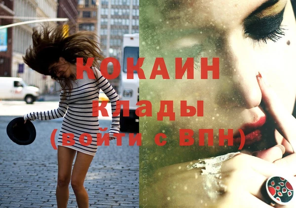 шишки Вязьма