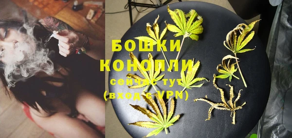 шишки Вязьма
