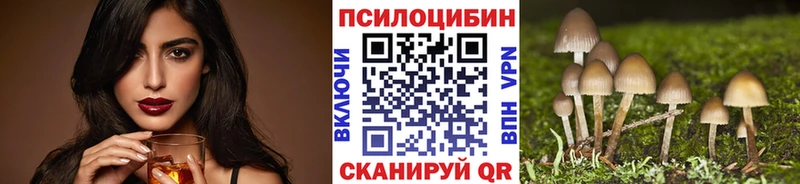Псилоцибиновые грибы ЛСД  наркотики  Новосокольники 